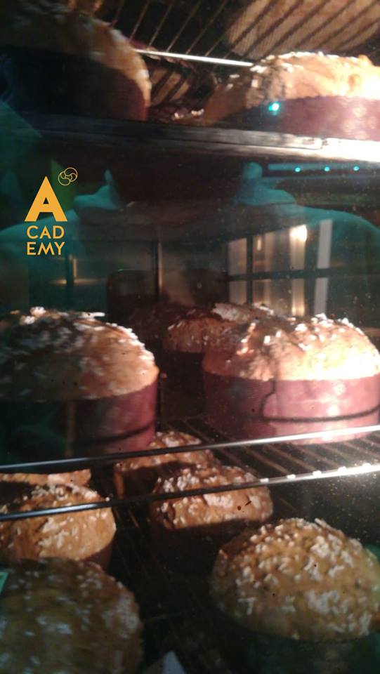 Panettone Naturale a Lievito Madre