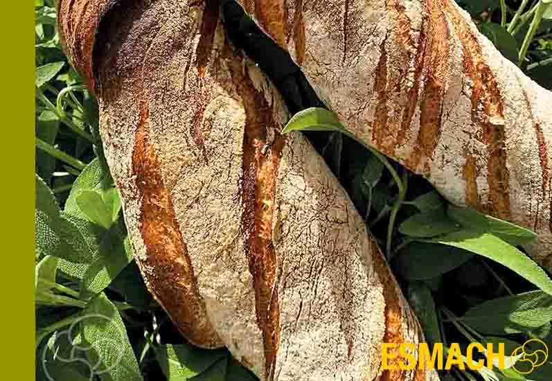 SOLUZIONI CONCRETE, EFFICACI E SOSTENIBILI PER IL MONDO DELLA LIEVITAZIONE