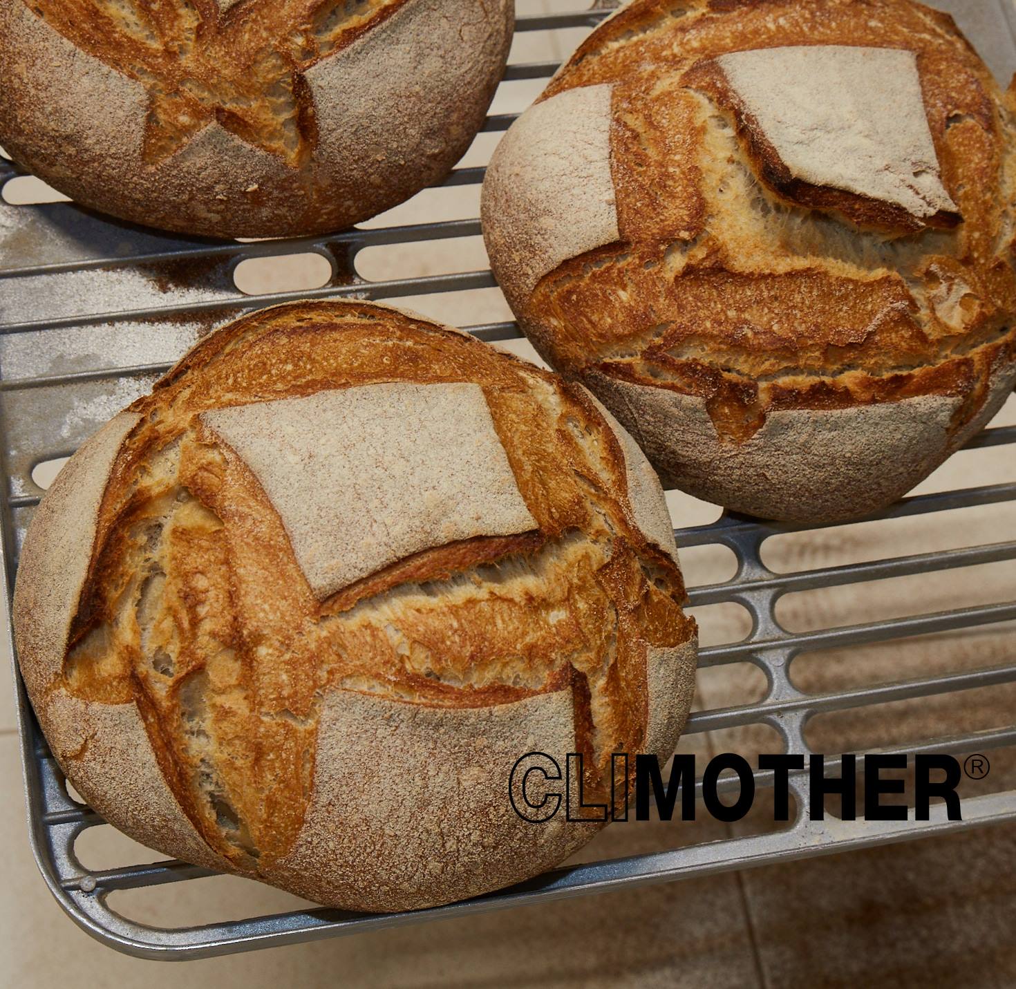 Lievito Madre e Climother