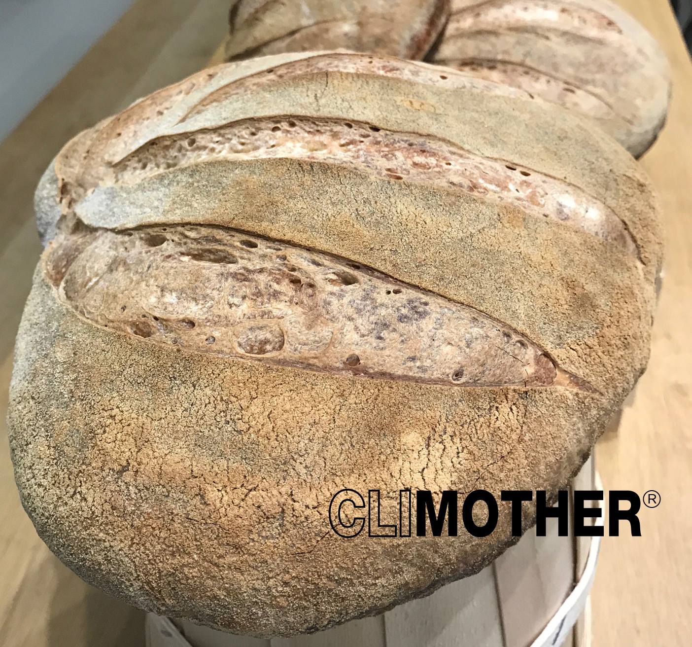 Lievito Madre e Naturalità con CLIMOTHER