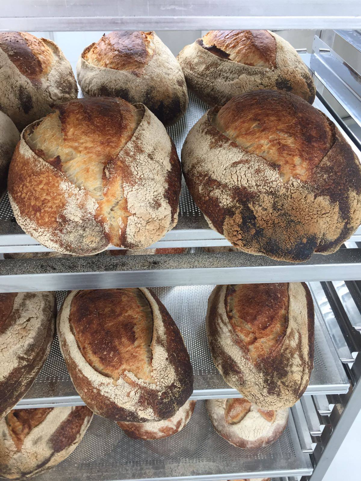 Lievito Madre e Pane