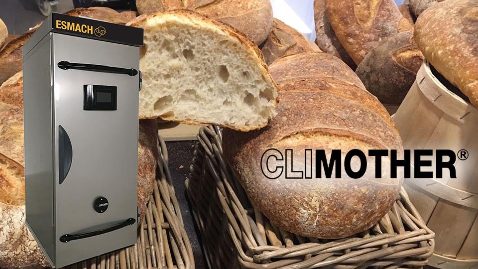 PANE, PIZZA a Lievito MADRE a tutte le ore!